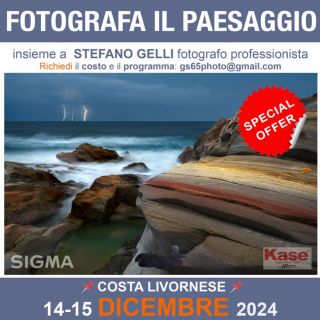 WORKSHOP, Novembre e dicembre con Stefano Gelli